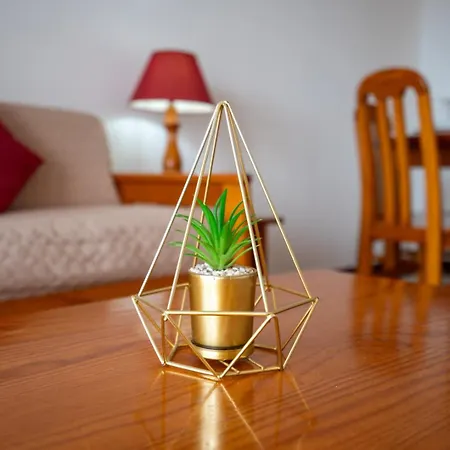 Holiferias Amoreira Mar